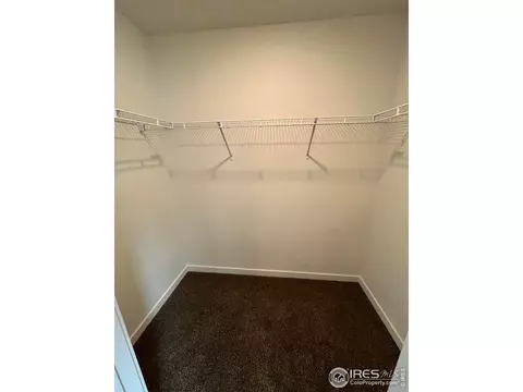 3709 Sequoia Ct, Evans, CO 80620 photo 12