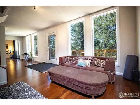 418 Ridge Rd, Ward, CO 80481 photo 16
