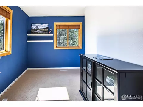 418 Ridge Rd, Ward, CO 80481 photo 22