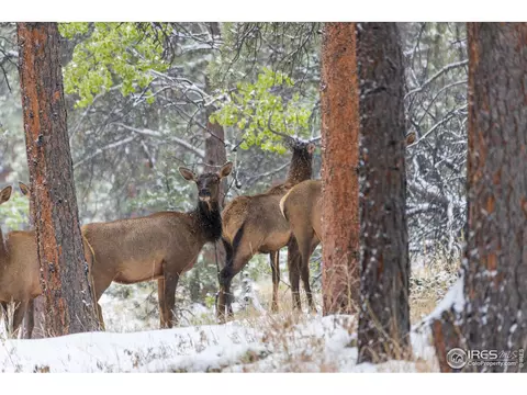 418 Ridge Rd, Ward, CO 80481 photo 33