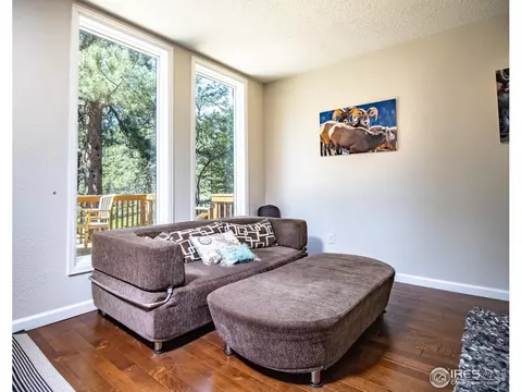 418 Ridge Rd, Ward, CO 80481 photo 17