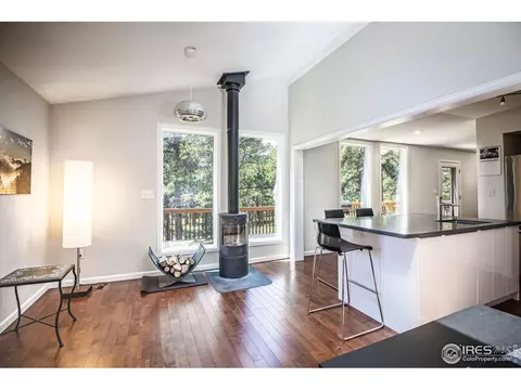 418 Ridge Rd, Ward, CO 80481 photo 11