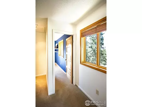 418 Ridge Rd, Ward, CO 80481 photo 23