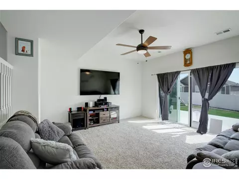 920 Barasingha St, Severance, CO 80550 photo 7