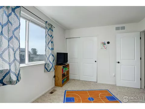 920 Barasingha St, Severance, CO 80550 photo 16