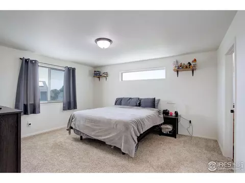 920 Barasingha St, Severance, CO 80550 photo 10