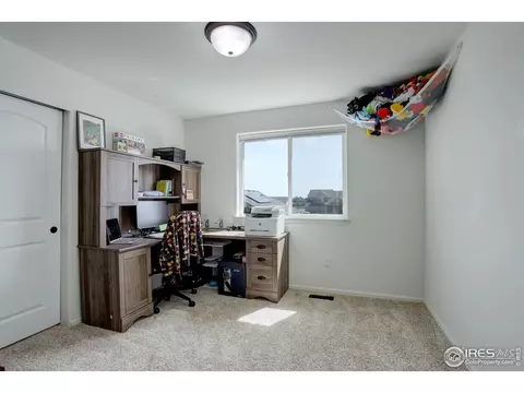 920 Barasingha St, Severance, CO 80550 photo 17