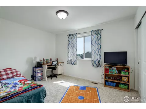 920 Barasingha St, Severance, CO 80550 photo 15