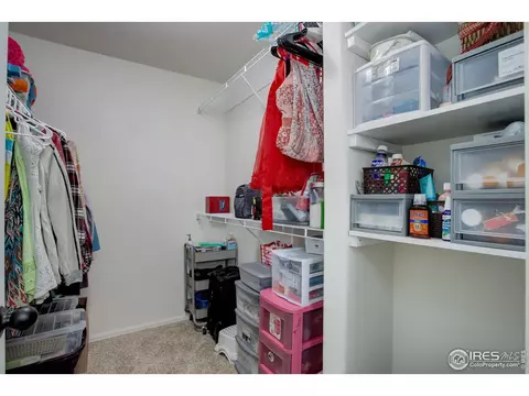 920 Barasingha St, Severance, CO 80550 photo 12