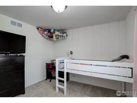 920 Barasingha St, Severance, CO 80550 photo 14