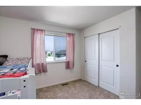 920 Barasingha St, Severance, CO 80550 photo 13