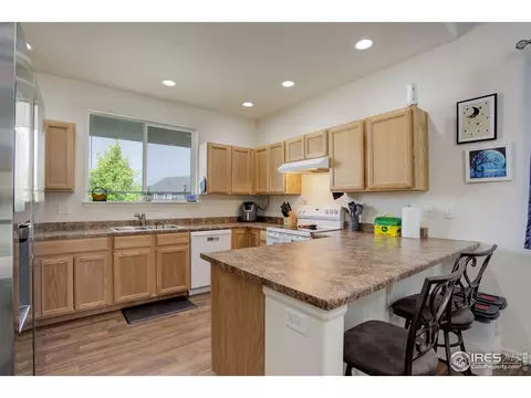 920 Barasingha St, Severance, CO 80550 photo 5