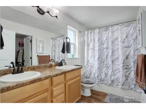 920 Barasingha St, Severance, CO 80550 photo 11