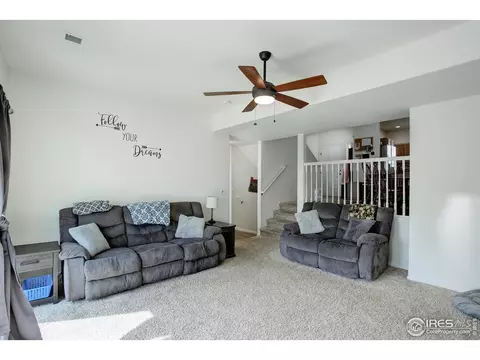 920 Barasingha St, Severance, CO 80550 photo 8
