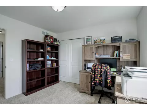920 Barasingha St, Severance, CO 80550 photo 18