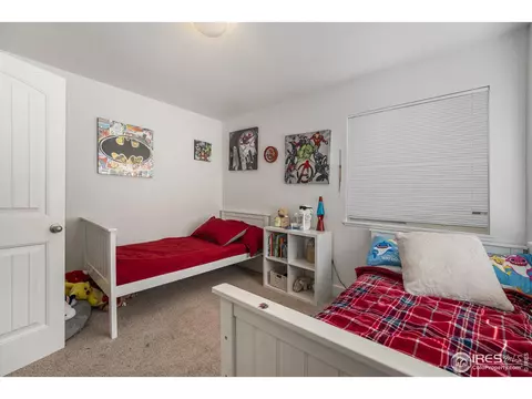 3526 Conifer Dr, Evans, CO 80620 photo 18