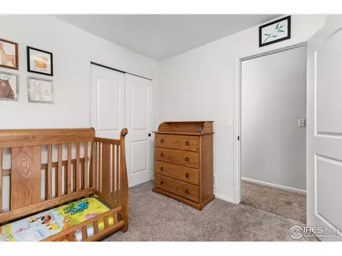 720 Elk Mountain Dr, Windsor, CO 80550 photo 17