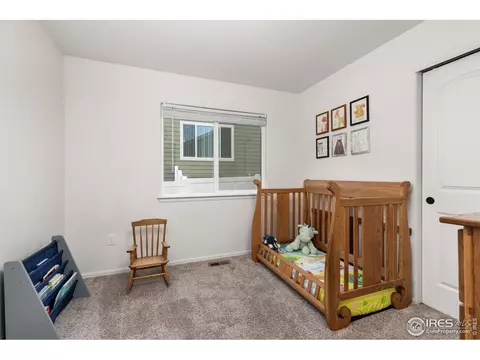 720 Elk Mountain Dr, Windsor, CO 80550 photo 16