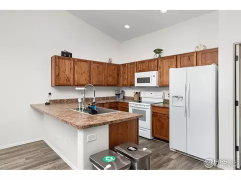 720 Elk Mountain Dr, Windsor, CO 80550 photo 8