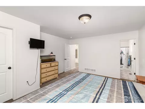 720 Elk Mountain Dr, Windsor, CO 80550 photo 11