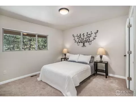 372 Cherokee Rd, Lyons, CO 80540 photo 11