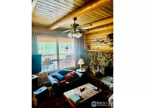 253 Anderson Rd, Walden, CO 80480 photo 4