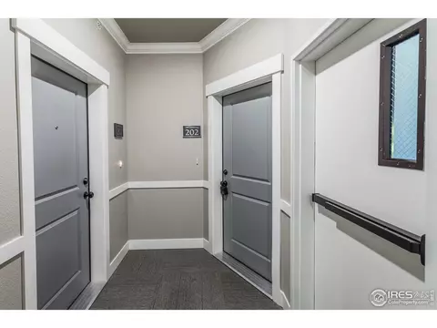 6650 Crystal Downs Dr #202, Windsor, CO 80550 photo 4