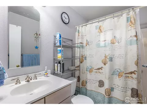 3503 Dahlia St, Evans, CO 80620 photo 8