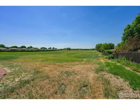 1227 Walnut St, Windsor, CO 80550 photo 11