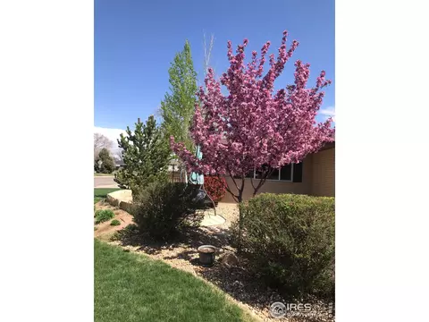 2127 14th St Rd, Greeley, CO 80631 photo 4