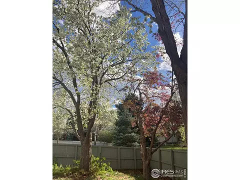 5493 Indian Summer Ct, Boulder, CO 80301 photo 29