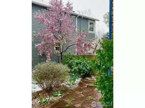 5493 Indian Summer Ct, Boulder, CO 80301 photo 5