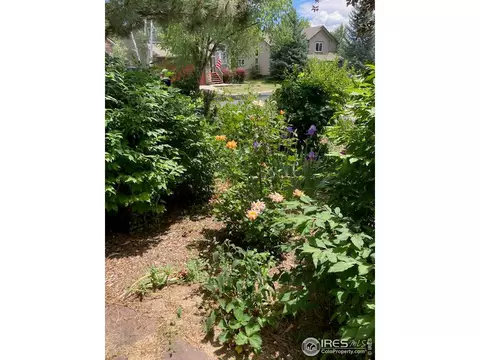5493 Indian Summer Ct, Boulder, CO 80301 photo 31