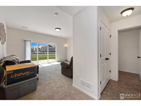 247 Pinebrook Ct, Windsor, CO 80550 photo 18
