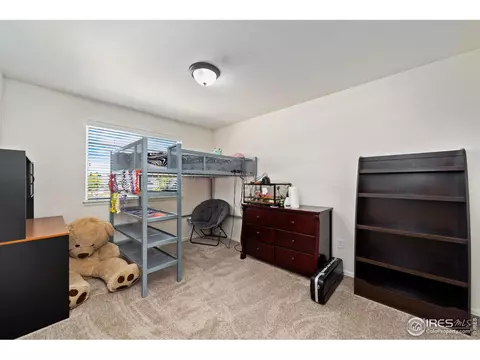 247 Pinebrook Ct, Windsor, CO 80550 photo 32