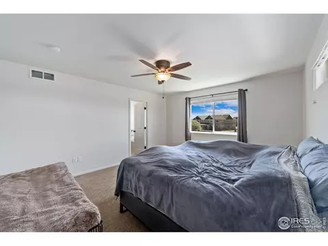 247 Pinebrook Ct, Windsor, CO 80550 photo 23