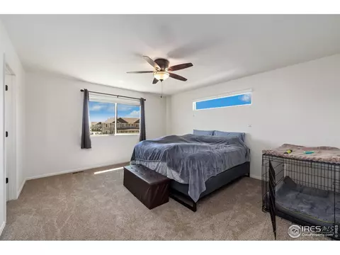247 Pinebrook Ct, Windsor, CO 80550 photo 22