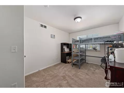 247 Pinebrook Ct, Windsor, CO 80550 photo 33