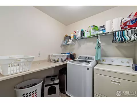 247 Pinebrook Ct, Windsor, CO 80550 photo 34