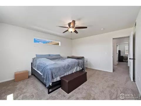 247 Pinebrook Ct, Windsor, CO 80550 photo 20
