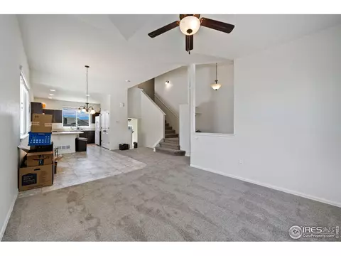 247 Pinebrook Ct, Windsor, CO 80550 photo 13