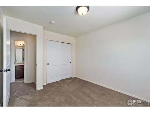 247 Pinebrook Ct, Windsor, CO 80550 photo 26