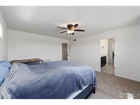 247 Pinebrook Ct, Windsor, CO 80550 photo 21