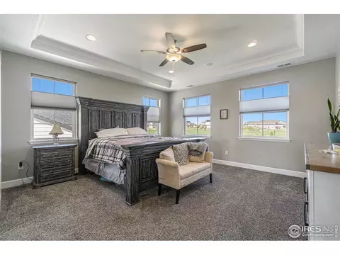 1384 Wolfhound St, Timnath, CO 80547 photo 13
