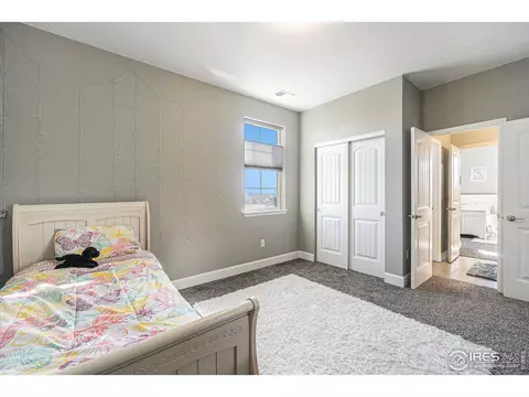 1384 Wolfhound St, Timnath, CO 80547 photo 18