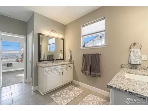 1384 Wolfhound St, Timnath, CO 80547 photo 15
