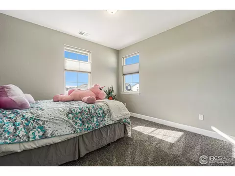1384 Wolfhound St, Timnath, CO 80547 photo 21