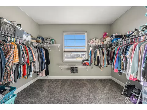 1384 Wolfhound St, Timnath, CO 80547 photo 20