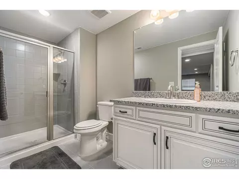 1384 Wolfhound St, Timnath, CO 80547 photo 23