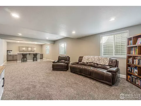 1384 Wolfhound St, Timnath, CO 80547 photo 27